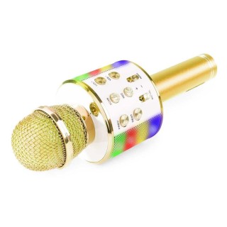 RoGer WS-858L Illuminated Karaoke Microphone with Speaker