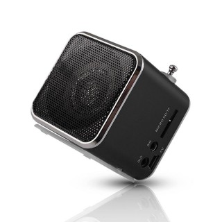 Setty MF-100 Speaker with FM Radio / Micro SD / USB / Aux
