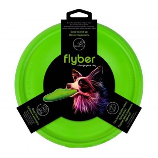 Double-sided flying disc Flyber Waudog 22 cm, light green