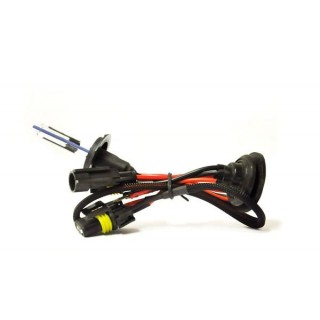 Car and Motorcycle Products, Audio, Navigation, CB Radio // Bulbs and lights for cars // 01420 HID Żarnik H7R 6000K xenonowy 