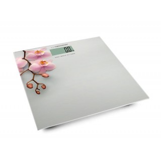 Personal-care products // Scales // EBS010 Waga łazienkowa cyfrowa Orchid 