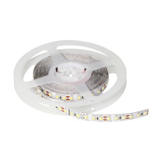LED Strip // NEON FLEX LED strips // Taśma LED 12V DC, 2835smd, 60led/m, 4.8W/m, IP20, 6000K, rolka 5m