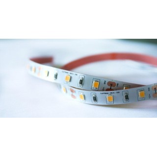LED strip, 12V, 4.8W/m, non-waterproof, warm white, 115lm/W, AKTO