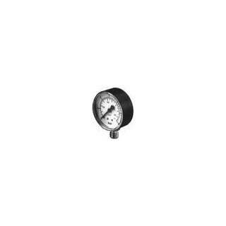 Pressure gauge D50-R 0-6bar 1/4" Italtecnica