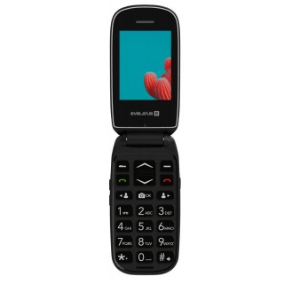 Cell phone Evelatus  WAVE 2020 DS (EW02BK) Graphite Black