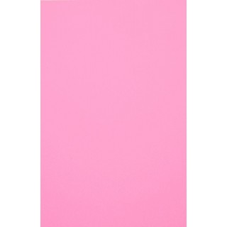 Aizsargplēve Evelatus Universal Universal Color Shinning Film for Screen Cutter Light Pink