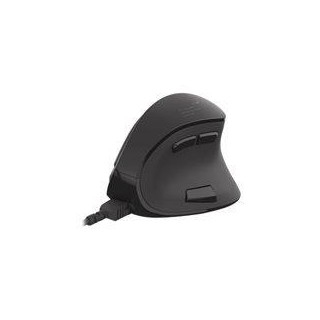 NATEC mouse Euphonie vertical wireless