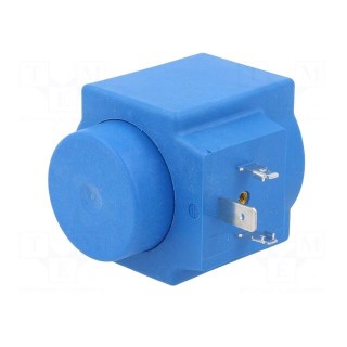 Accessories: coil for solenoid valve | 115VAC | 13.5mm | IP00 | 11W