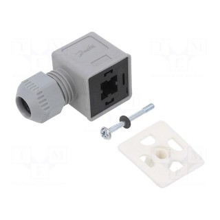 Accessories: plug for coil | IP67 | cool white,grey | 250V