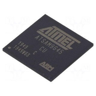 ARM microprocessor | ARM926 | SRAM: 64kB | 0.9÷1.1VDC | SMD | TFBGA324