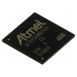 IC: ARM microprocessor | ARM926 | 1.65÷1.95VDC | SMD | LFBGA217 | PWM: 6