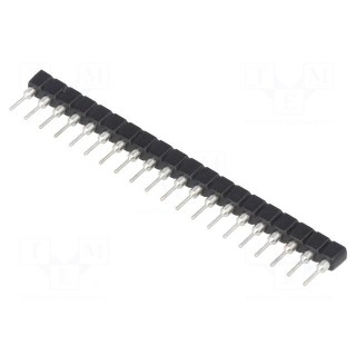 Socket: SIP | PIN: 20 | THT | 2.54mm | round pins,bushing contacts