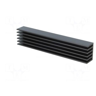 Heatsink: extruded | grilled | black | L: 100mm | W: 21mm | H: 14mm