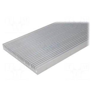 Heatsink: extruded | grilled | natural | L: 1000mm | W: 250mm | H: 30mm