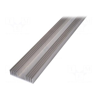 Heatsink: extruded | grilled | natural | L: 1000mm | W: 97mm | H: 25mm