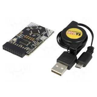 Programmer: microcontrollers | ARM | USB | 1.65÷3.6VDC