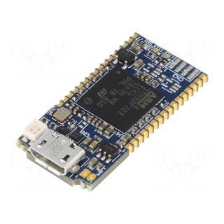 Programmer: microcontrollers | STM32 | USB | USB