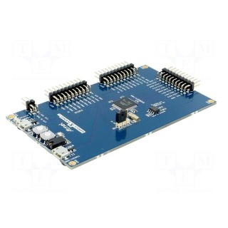 Dev.kit: Microchip ARM | Family: SAMD | prototype board