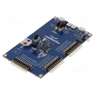 Dev.kit: Microchip ARM | Components: SAML21J18B | SAML