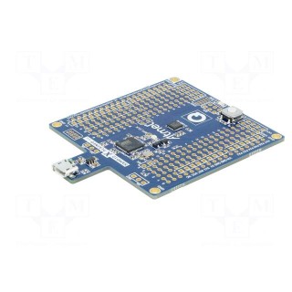 Dev.kit: Microchip ARM | SAMD | Xplained Mini | prototype board