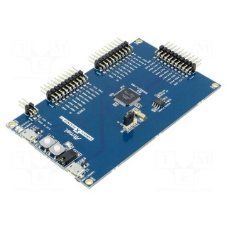 Dev.kit: Microchip ARM | Family: SAMD | prototype board
