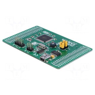 Dev.kit: Microchip AVR | ATXMEGA | prototype board
