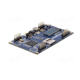 Dev.kit: Microchip AVR | Components: ATXMEGA384C3 | ATXMEGA