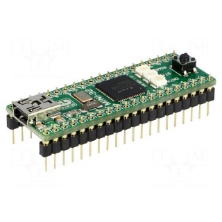 Dev.kit: Microchip PIC | PIC32 | prototype board