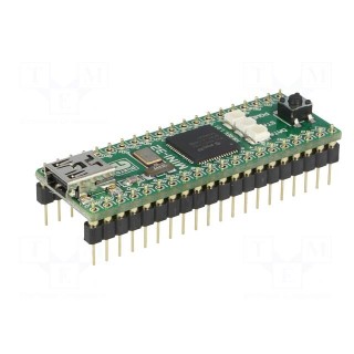 Dev.kit: Microchip PIC | PIC32 | prototype board