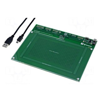 Dev.kit: Microchip | USB cable,prototype board