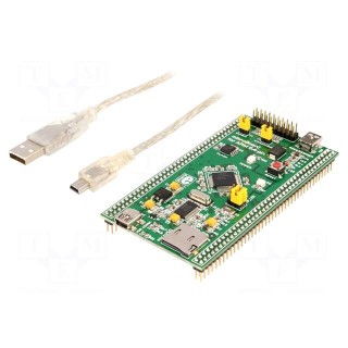Dev.kit: ARM NXP | JTAG | mikroBoard | socket for microSD cards