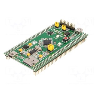 Dev.kit: ARM NXP | JTAG | mikroBoard | socket for microSD cards
