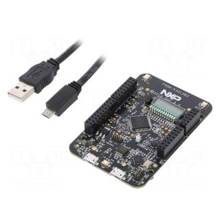 Dev.kit: ARM NXP | USB A-USB B micro cable,base board