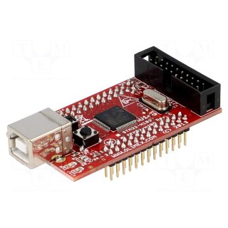 Dev.kit: ARM ST | IDC40 x2,JTAG,USB B | prototype board