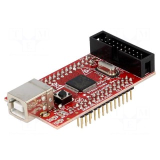 Dev.kit: ARM ST | IDC40 x2,JTAG,USB B | prototype board