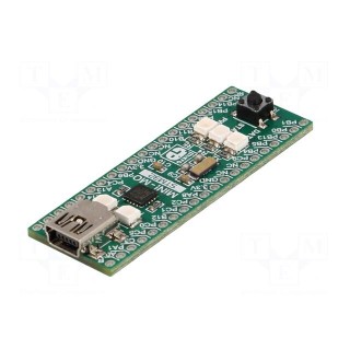 Dev.kit: ARM ST | STM32F051R8T6 | pin strips,USB B mini