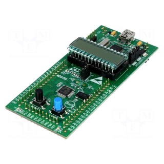 Dev.kit: STM8 | STM8L152C6T6 | pin strips,USB B mini