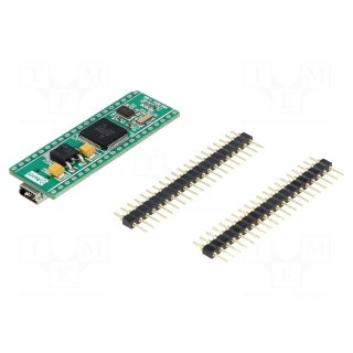 Dev.kit: ARM Texas | prototype board | USB B micro,pin header