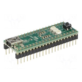 Dev.kit: ARM Texas | prototype board | USB B mini,pin header
