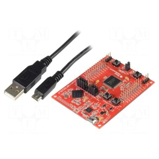 Dev.kit: TI MSP430 | documentation,USB cable,prototype board