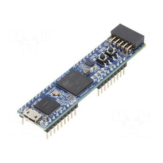 Dev.kit: Xilinx | Comp: XC7S25-1CSGA225 | I/O lines on pin header