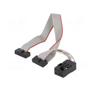Connection cable | Assoc.circ: ARM MICROCHIP,AVR,AVR32