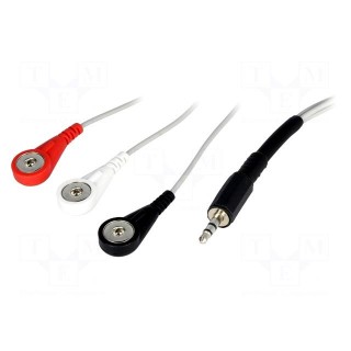 Electrodes for electrocardiography | Jack 3,5mm