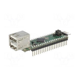 Module: USB | USB | DIP40,USB A x2 | Supply output: 3.3VDC/200mA