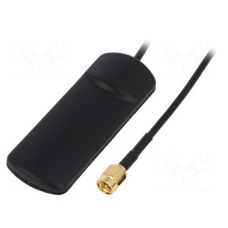 Antenna | GSM | 2dBi | linear | Mounting: for ribbon cable | 50Ω | Len: 3m