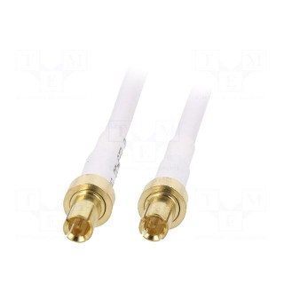 Antenna | LTE | 20dBi | for wall mounting | 50Ω | TS9 | -40÷85°C