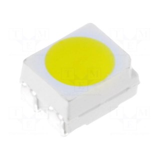 LED | SMD | 3528,PLCC4 | white cold | 3000÷4000mcd | 120° | 50mA | 3÷3.8V