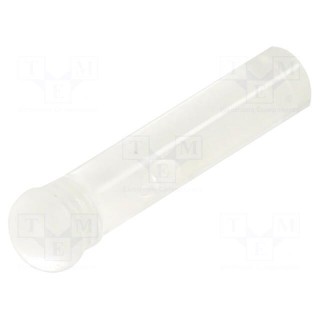 Fiber for LED | round | Ø3.2mm | Front: convex | straight | IP68