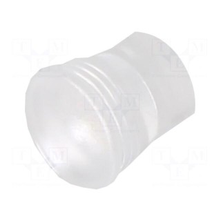 Fiber for LED | round | Ø5.2mm | Front: flat | straight | IP68