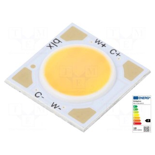 Power LED | COB,bicolour | white warm | 250mA | P: 8.7W | 625lm,980lm